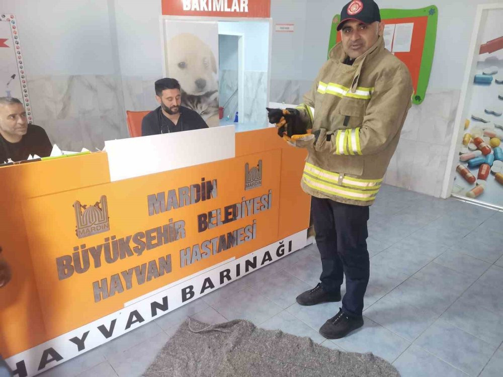 Otomobilin motor bölümüne sıkışan yavru kedi kurtarıldı