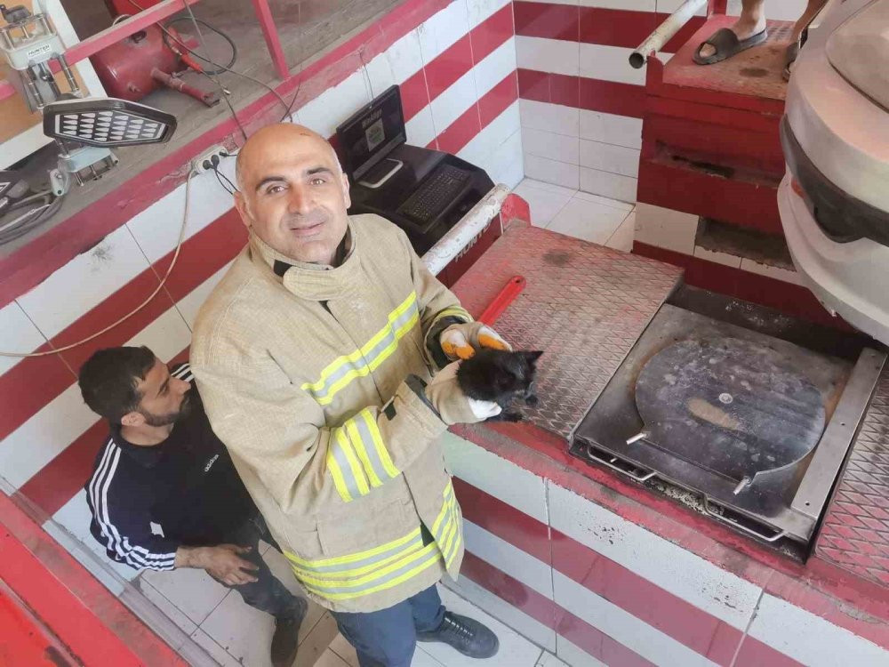 Otomobilin motor bölümüne sıkışan yavru kedi kurtarıldı