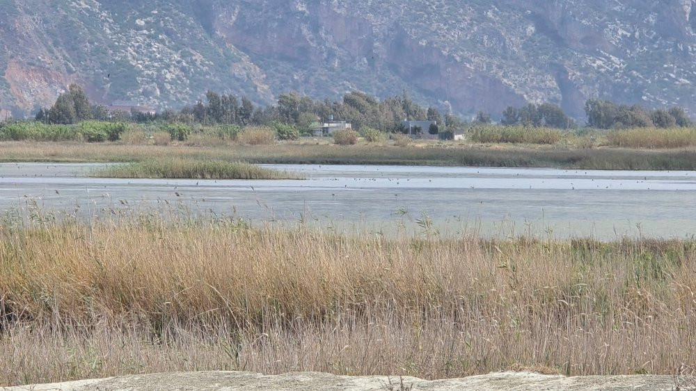 Kuş cennetinde 12 yeni tür gözlendi