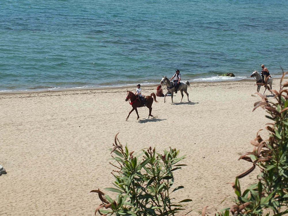 Plajda ilginç görüntü!
