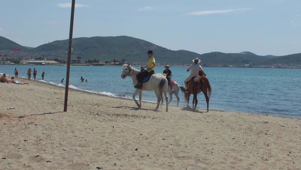 Plajda ilginç görüntü!