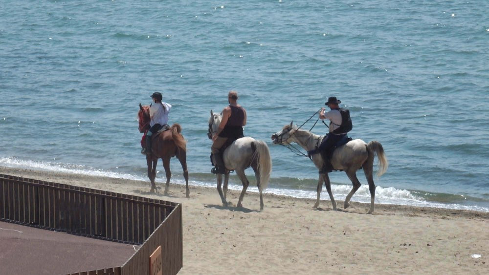 Plajda ilginç görüntü!