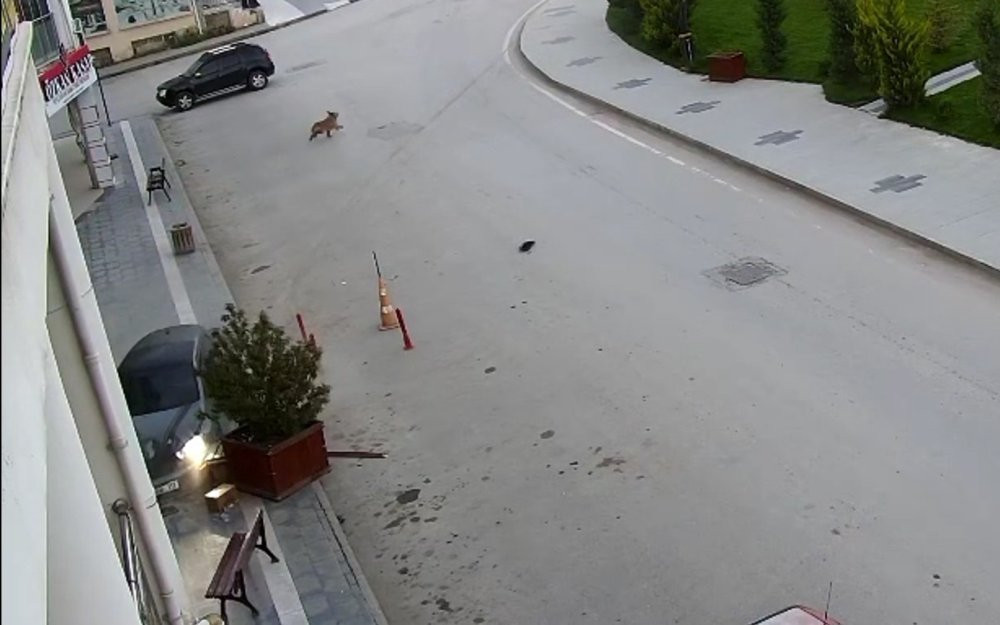 Alkollü kadın sürücü kontrolü kaybetti! Kaza anı saniye saniye görüntülendi