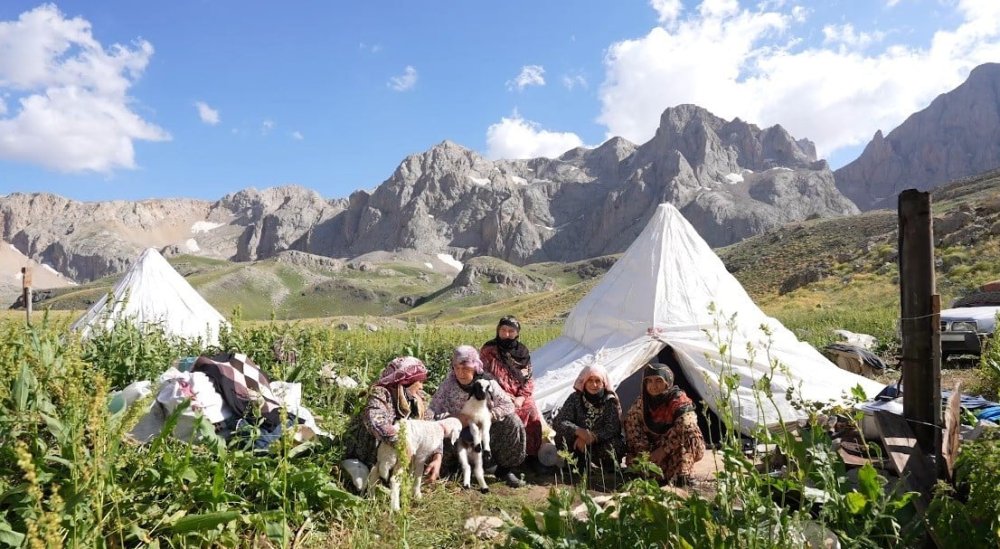Doğaseverlerin yeni gözdesi! Sohmarik Yaylası görenleri büyülüyor