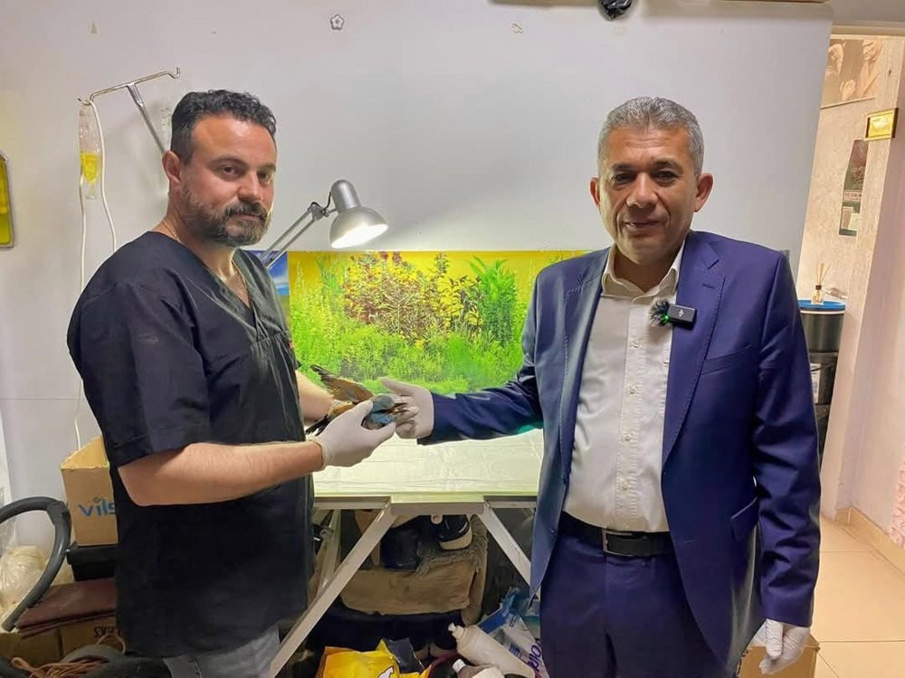 Nesli tükeniyor! Sırbistan’da Türkiye zorlu yolculuk