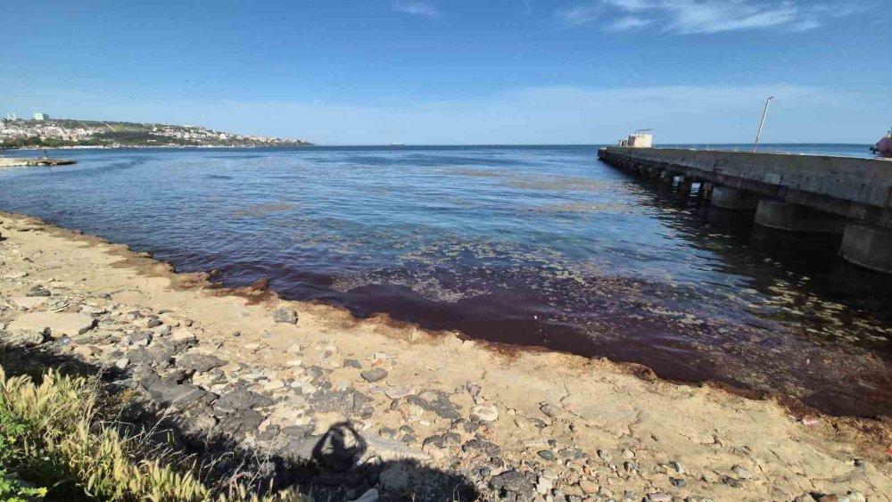 Tekirdağ’da tedirgin eden görüntü! Denizin rengi değişti