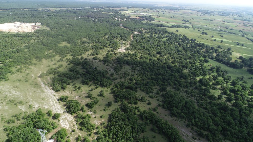 Valilik nedenini duyurdu: Kırklareli'nde ormanlara giriş 177 gün süreyle yasaklandı!
