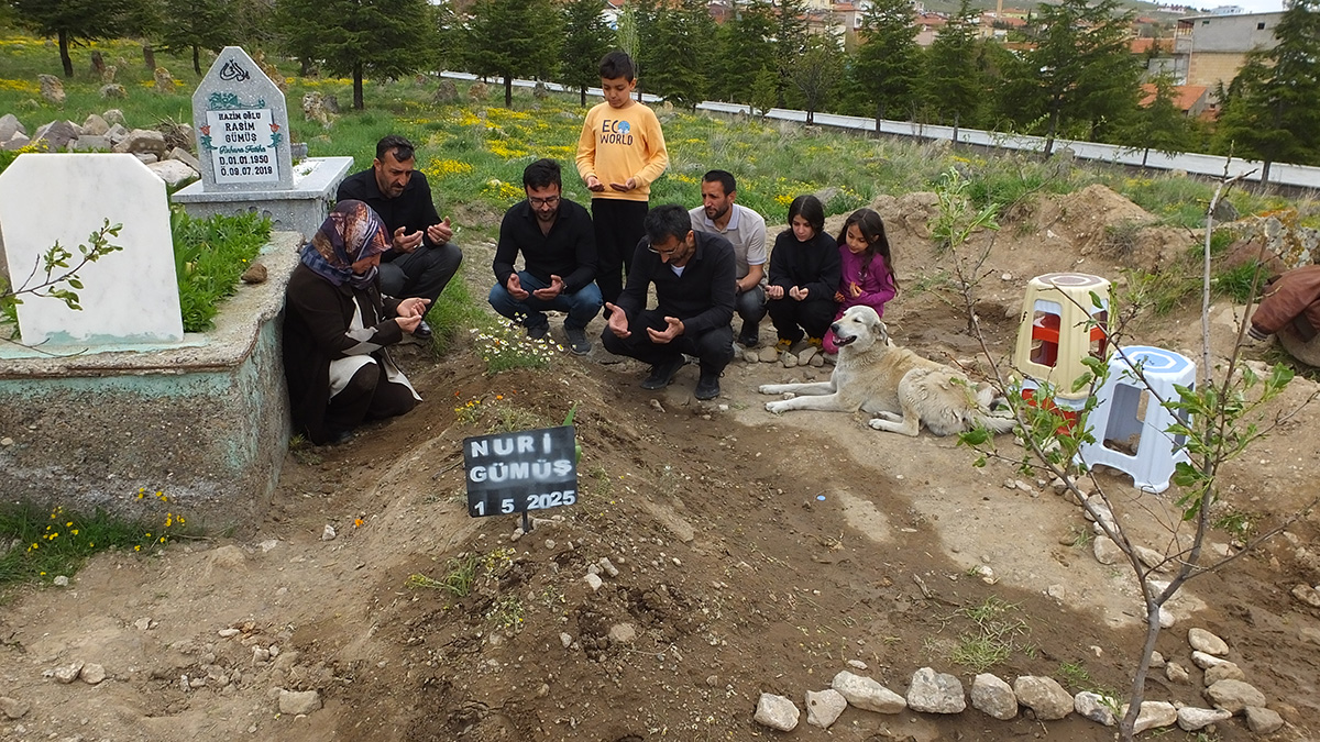 garipin-vefasi-koyu-aglatti-nuri-amcanin-mezarindan-ayrilmiyor-yenicag-11.jpg