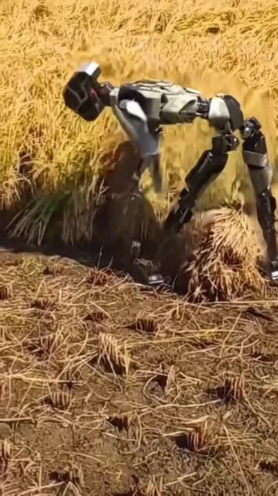 1706464645606.jpeg