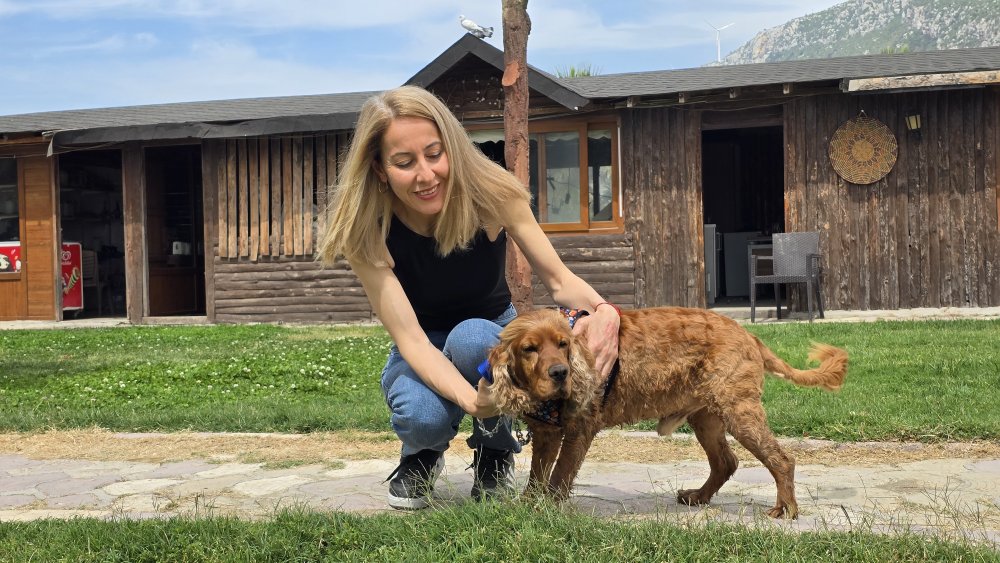 Bulan ödüllendirilecekti! 3 aydır aranıyordu: Ağaca bağlı bulundu depresyona girdi