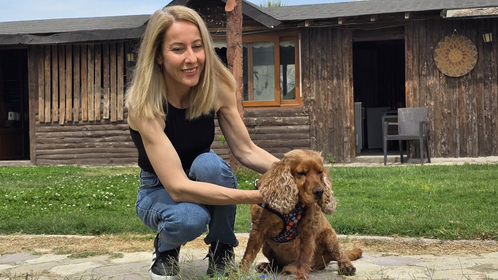 Bulan ödüllendirilecekti! 3 aydır aranıyordu: Ağaca bağlı bulundu depresyona girdi
