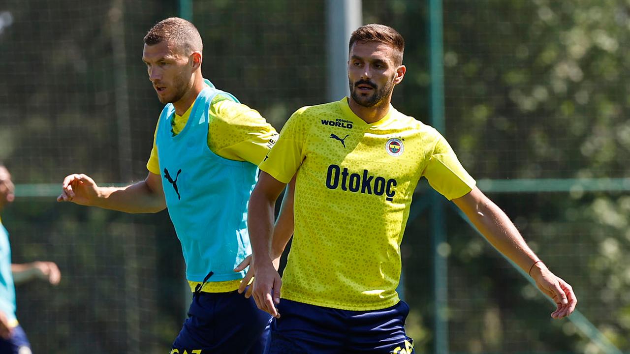 tadic-dzeko-2108030-003.jpg