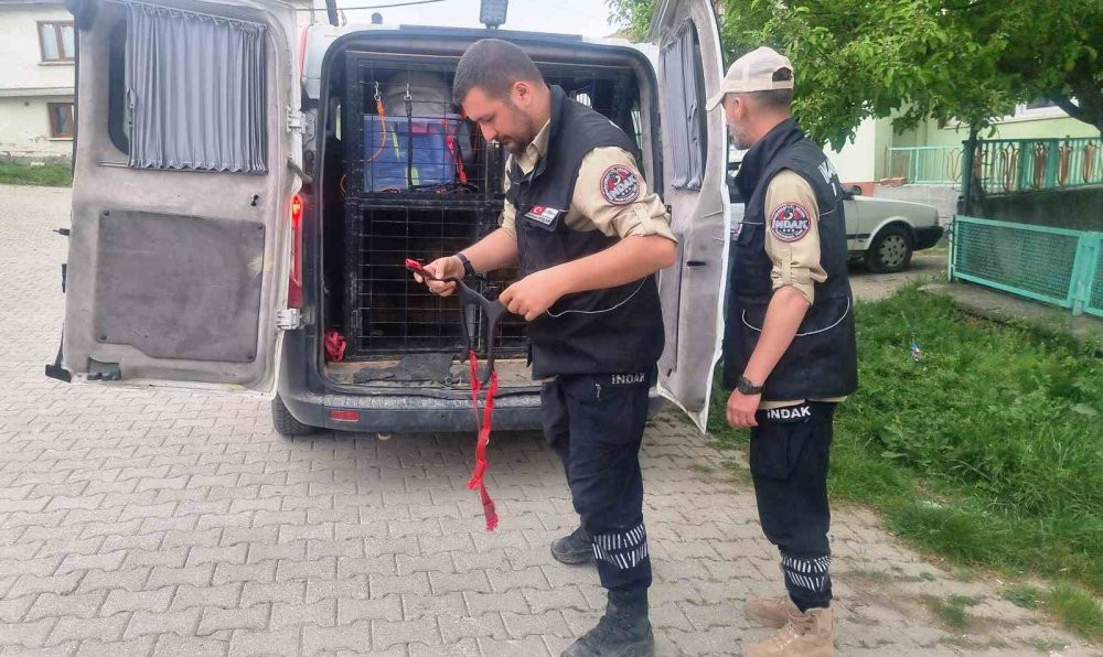 Köylüler ve ekipler seferber oldu! Traktör tamircisinden 3 gündür iz yok