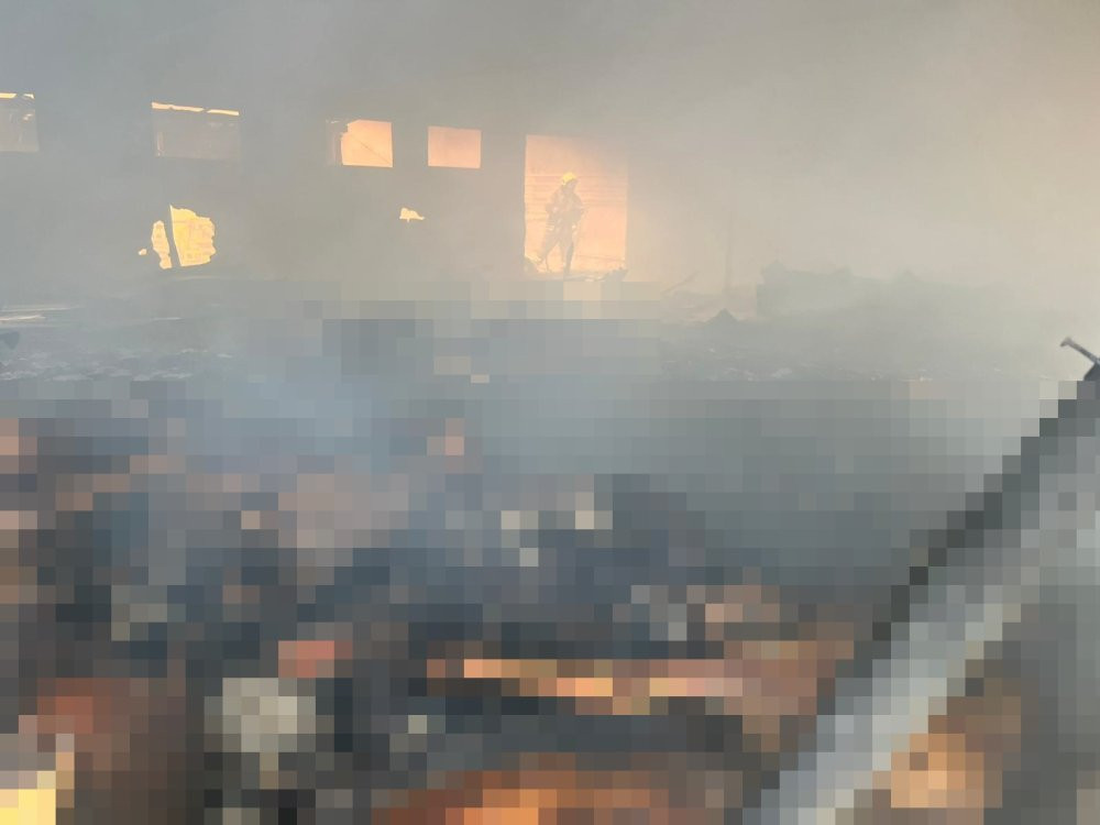 Manyas’ta ağılda felaket! 30 koyun ile 12 kuzu telef oldu