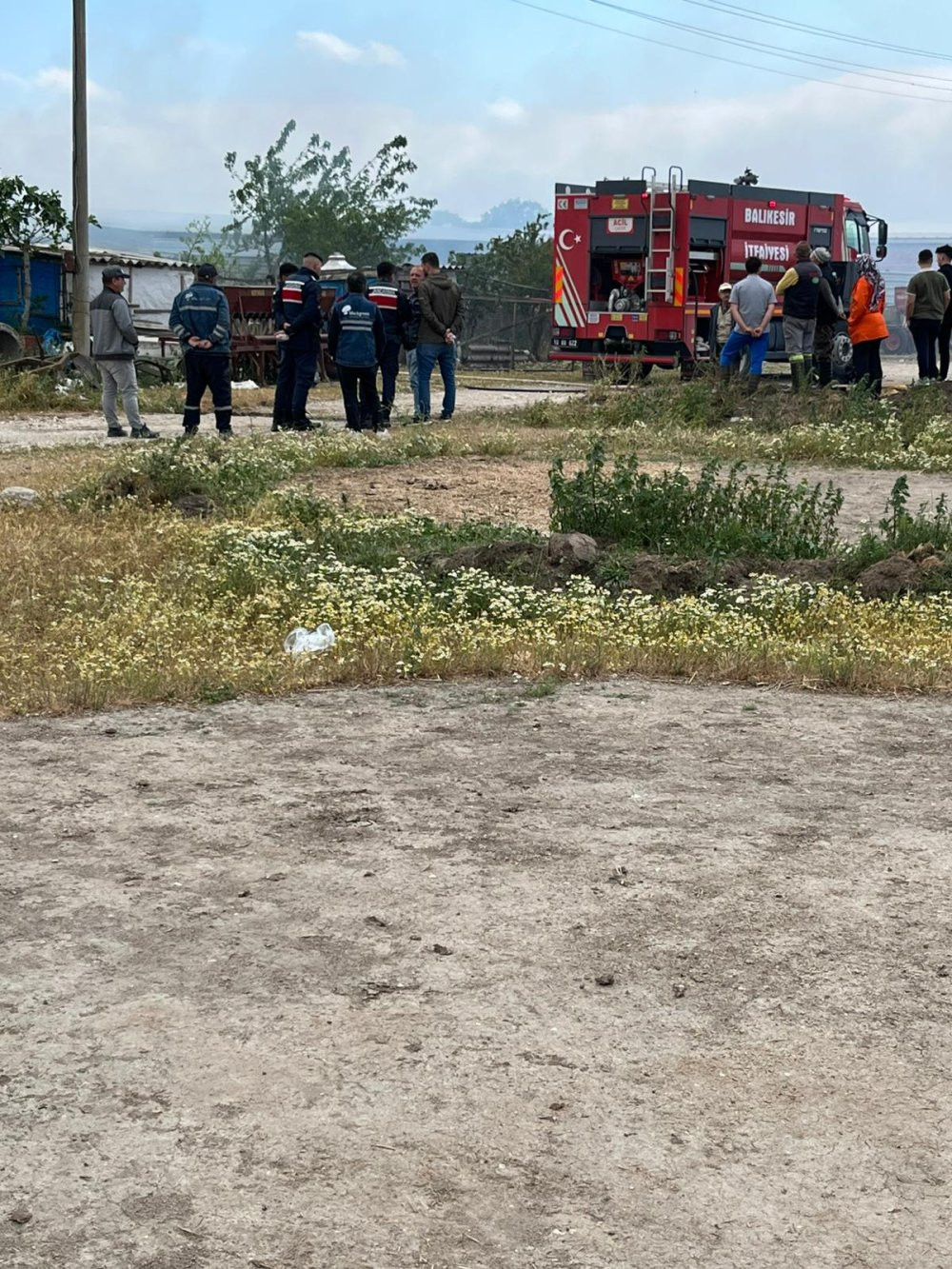 Manyas’ta ağılda felaket! 30 koyun ile 12 kuzu telef oldu