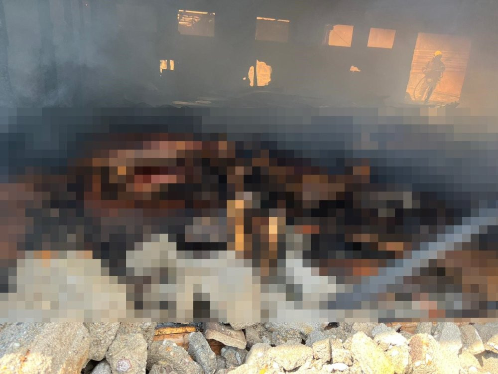 Manyas’ta ağılda felaket! 30 koyun ile 12 kuzu telef oldu