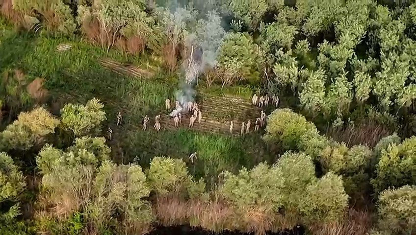 Diyarbakır'da 1 milyon 400 bin kök Hint keneviri ve skunk ele geçirildi