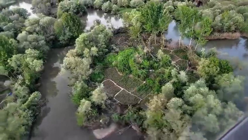 Diyarbakır'da 1 milyon 400 bin kök Hint keneviri ve skunk ele geçirildi