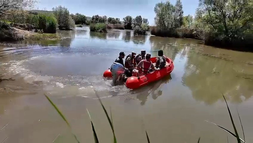 Diyarbakır'da 1 milyon 400 bin kök Hint keneviri ve skunk ele geçirildi