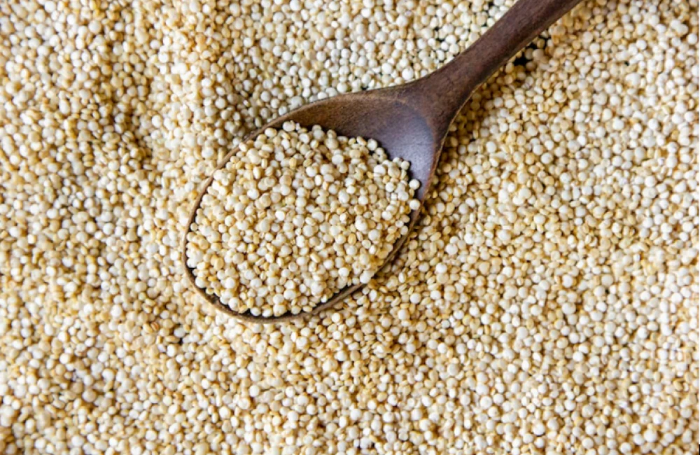 kinoa-nasil-pisirilir-ve-nasil-tuketilir-496e.webp