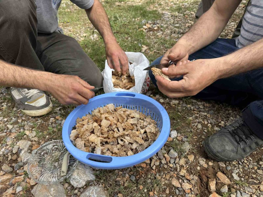 Yerini bilen sır gibi saklıyor! ‘Altın bulsak bu kadar sevinmeyiz'