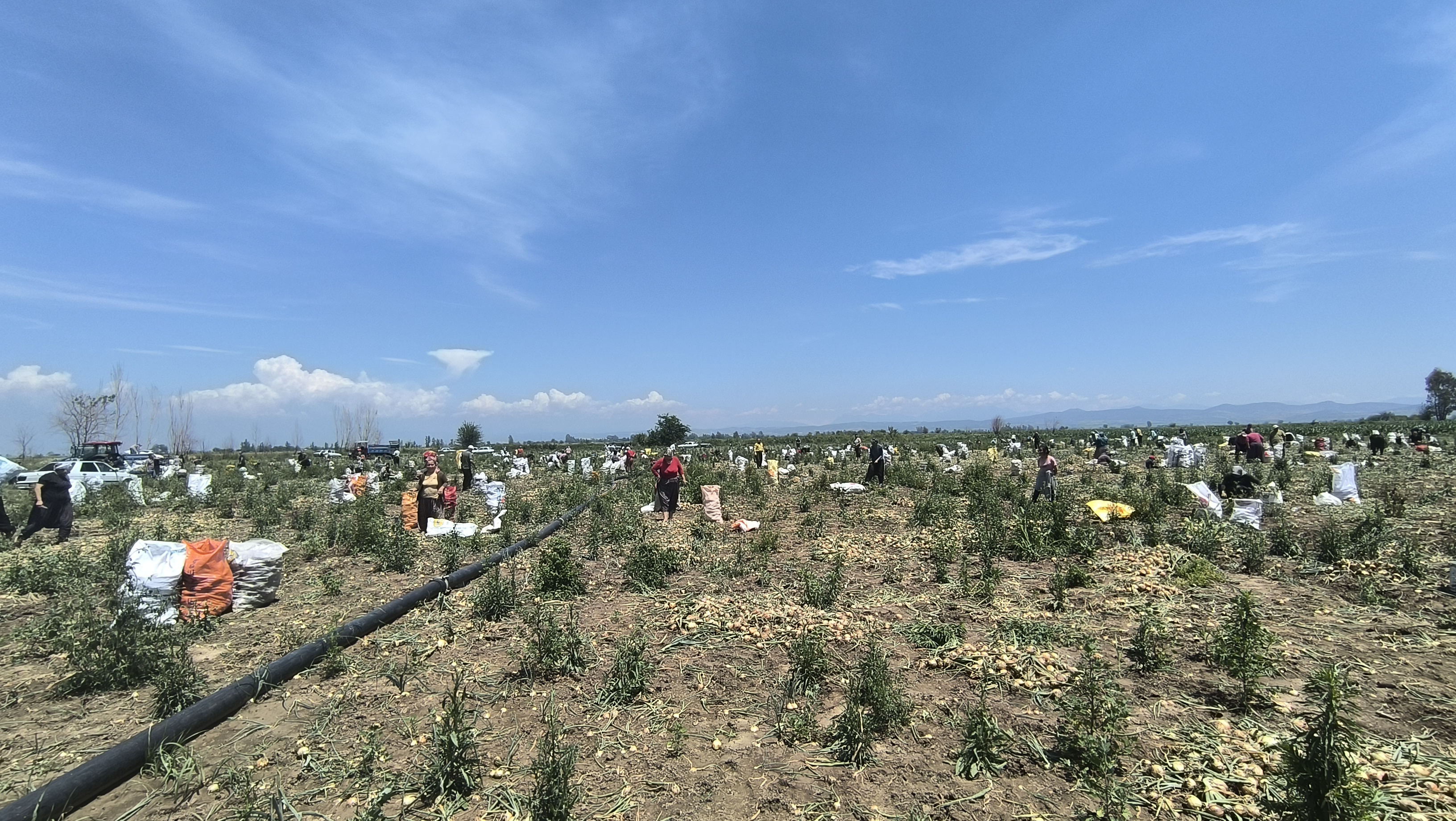 893f3354-1766-4604-ac60-df8531e3d675.jpg