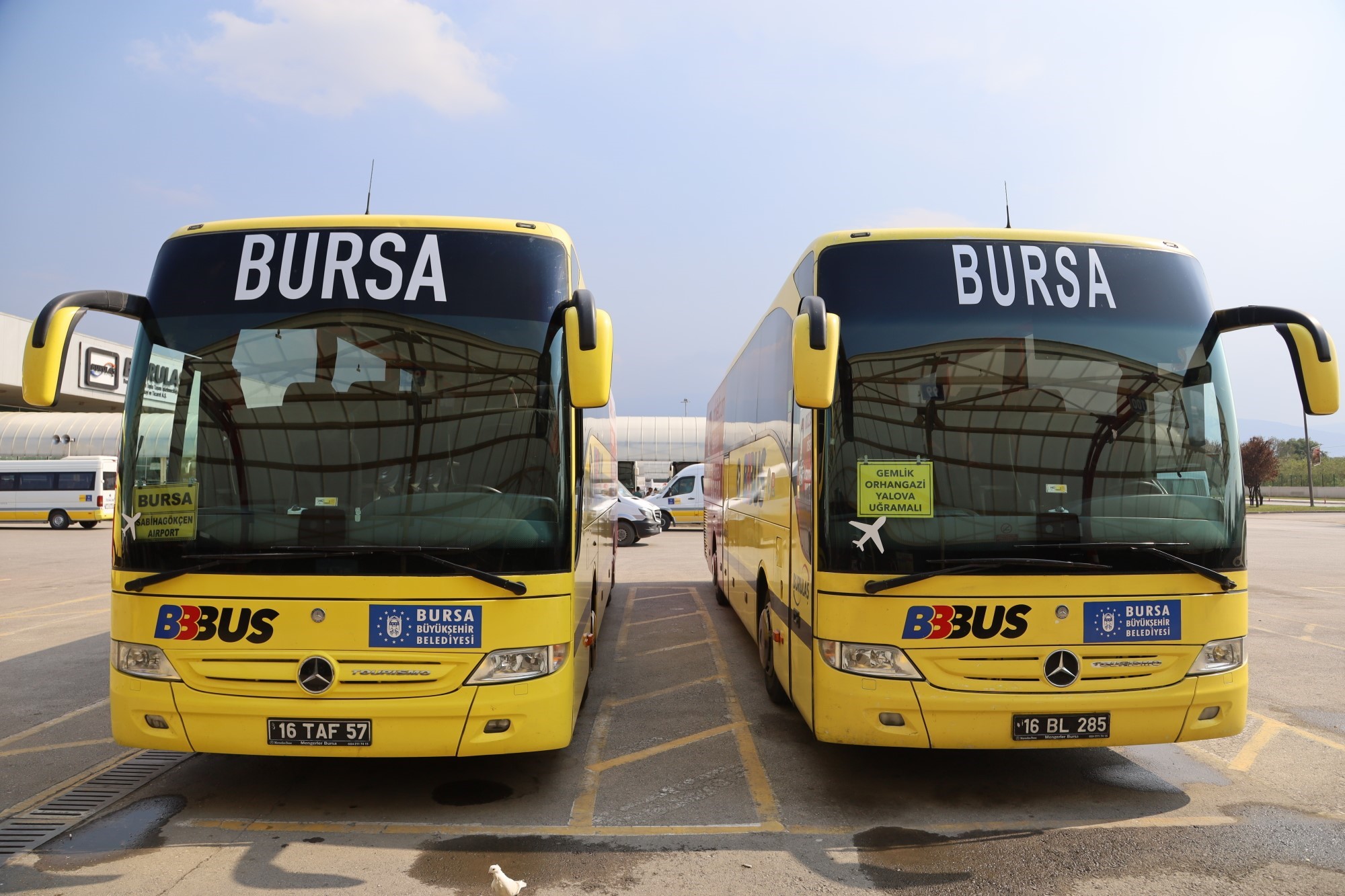 bursa.jpg