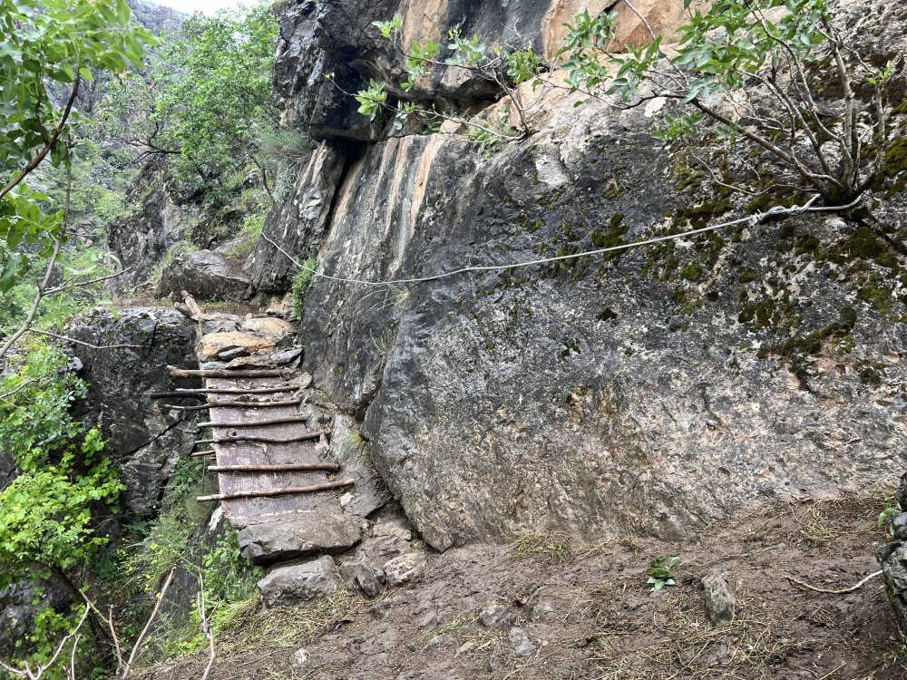 Kadınların tehlikeli yol çilesi! Süt için sarp yolları aşıyorlar