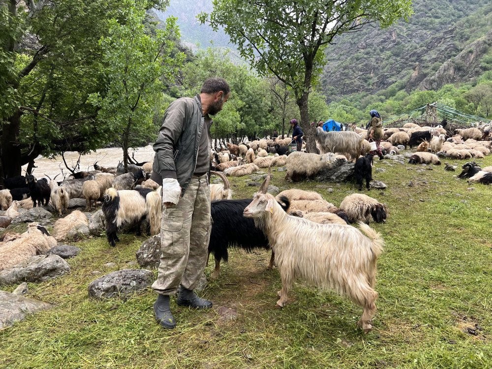 Kadınların tehlikeli yol çilesi! Süt için sarp yolları aşıyorlar