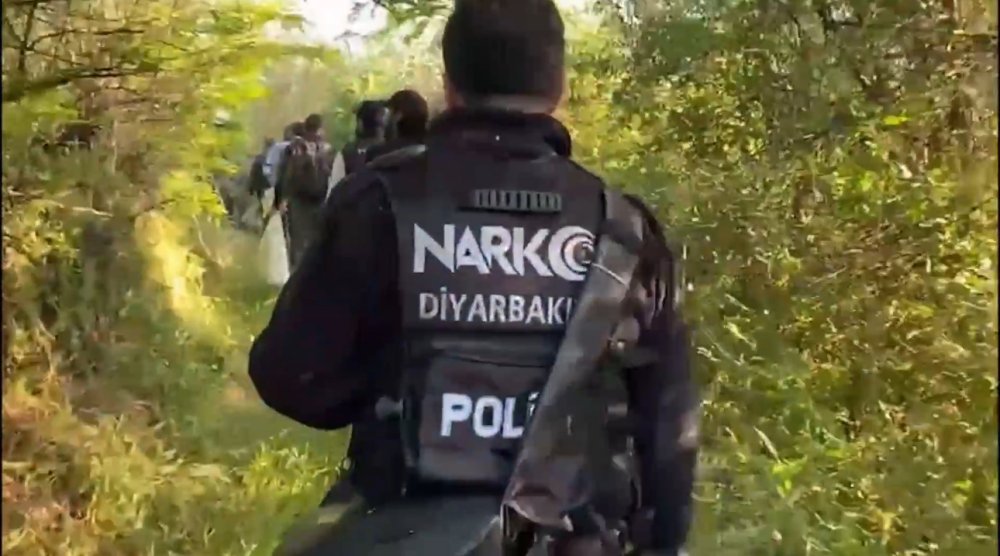 Diyarbakır’da 5,3 ton esrar üretilebilecek 30 bin kök kenevir ele geçirildi
