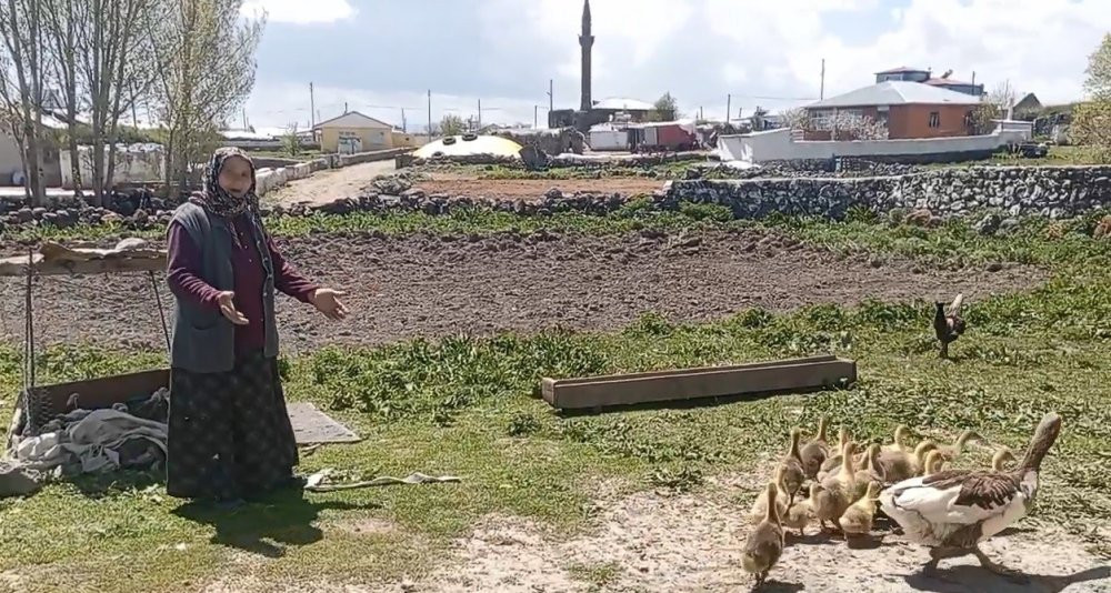 Kış aylarının vazgeçilmezi... Gram altınla yarışıyor