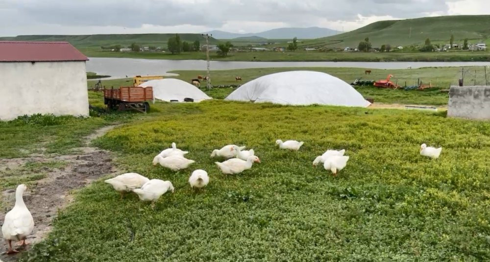 Kış aylarının vazgeçilmezi... Gram altınla yarışıyor