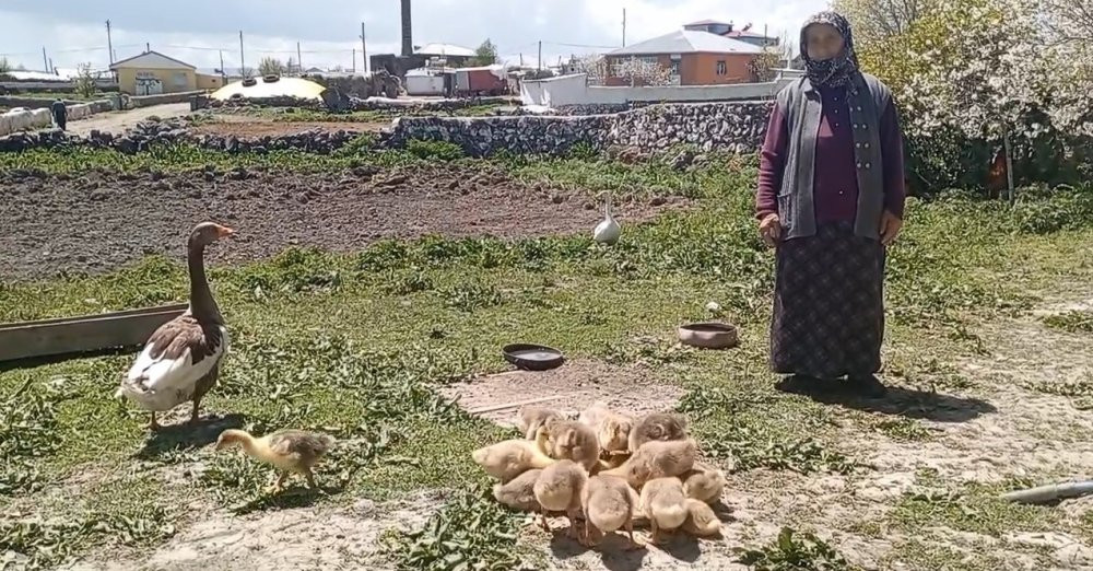 Kış aylarının vazgeçilmezi... Gram altınla yarışıyor