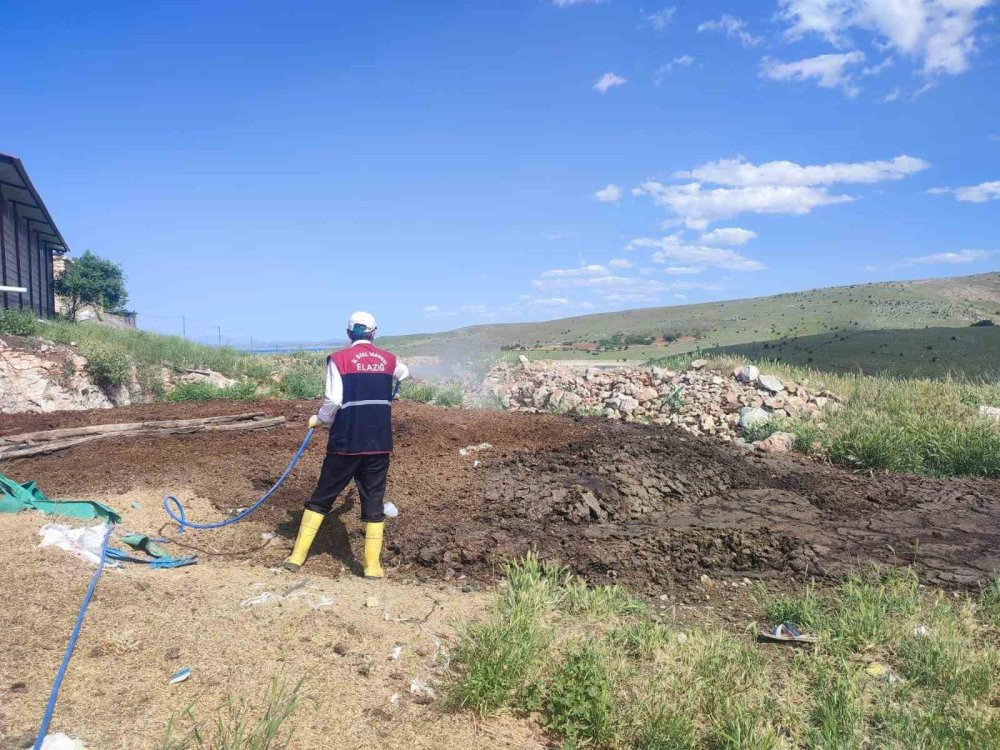 Larva ile mücadele çalışmaları devam ediyor