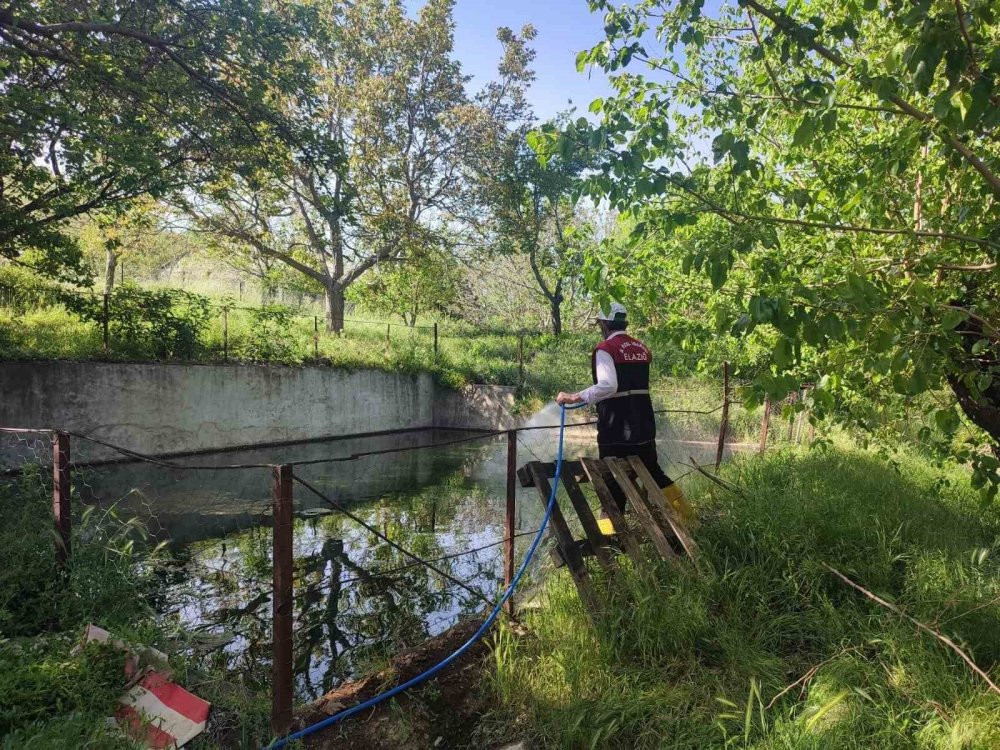 Larva ile mücadele çalışmaları devam ediyor