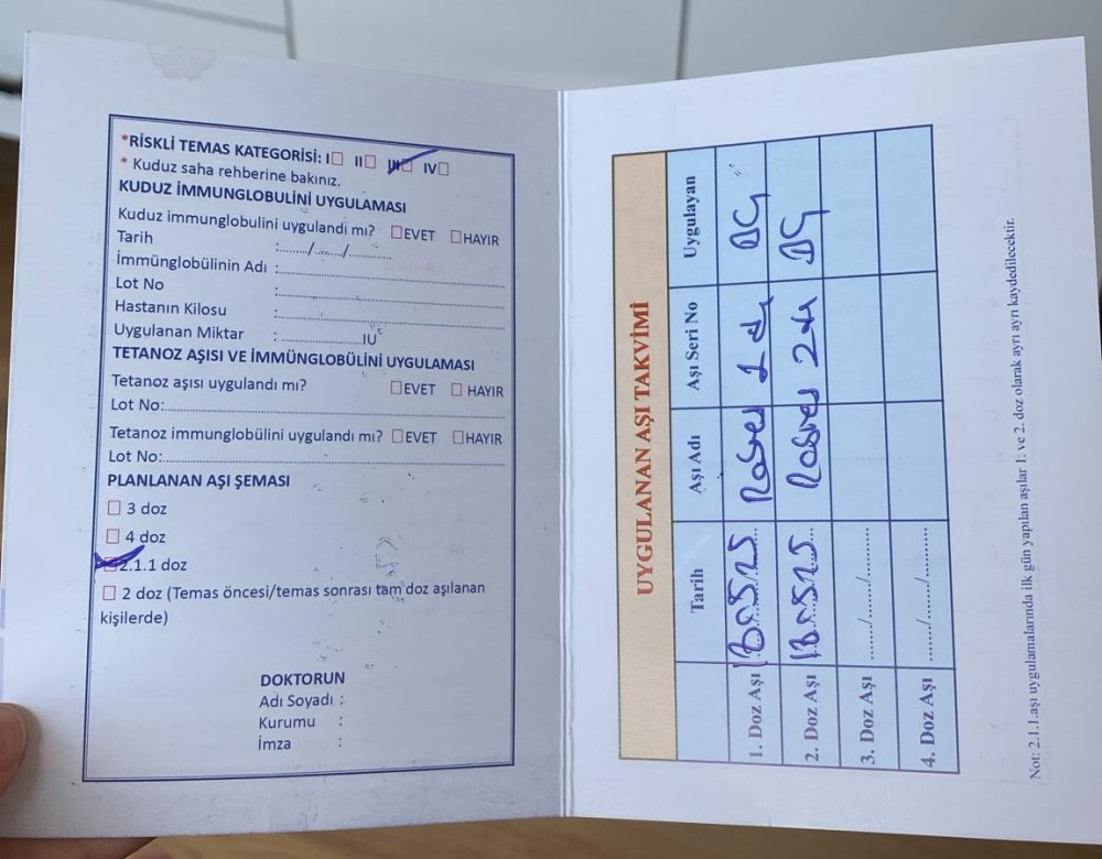 Üniversiteli Gözde hastanelik oldu! Yıldız Teknik’te köpek dehşeti: Çığlıkları kampüsü inletti