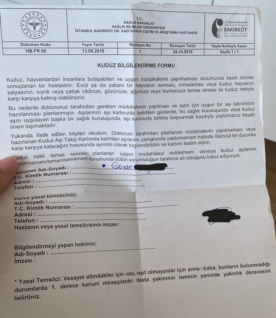 Üniversiteli Gözde hastanelik oldu! Yıldız Teknik’te köpek dehşeti: Çığlıkları kampüsü inletti