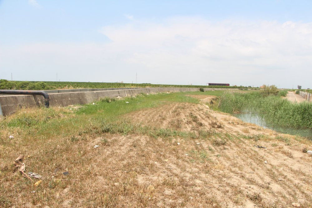 Adana'da çiftçi feryat etti: 'Bu bir katliamdır'! Jandarma harekete geçti!