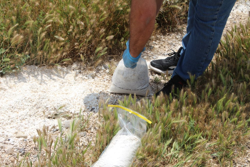 Adana'da çiftçi feryat etti: 'Bu bir katliamdır'! Jandarma harekete geçti!