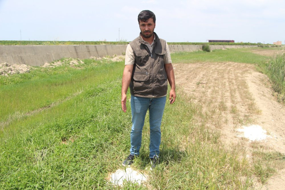 Adana'da çiftçi feryat etti: 'Bu bir katliamdır'! Jandarma harekete geçti!