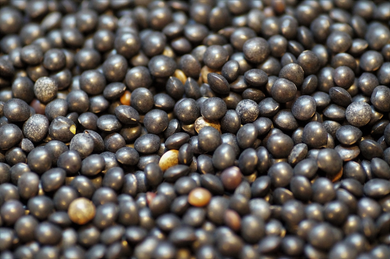 lentil-3915098-1920-1360x905.jpg
