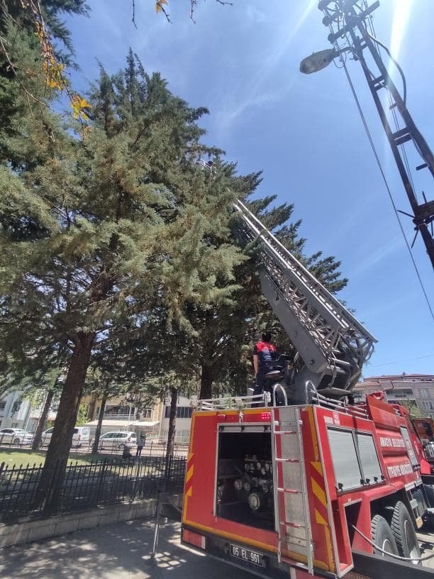Muhabbet Kuşu için risk aldı! İtfaiye kurtardı