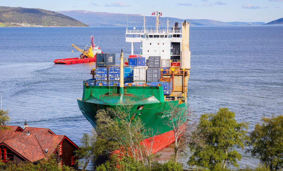 norvec1.jpg