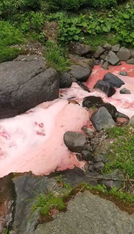 Rengi kırmızıya dönen derede inceleme! Bölge halkı endişelendi