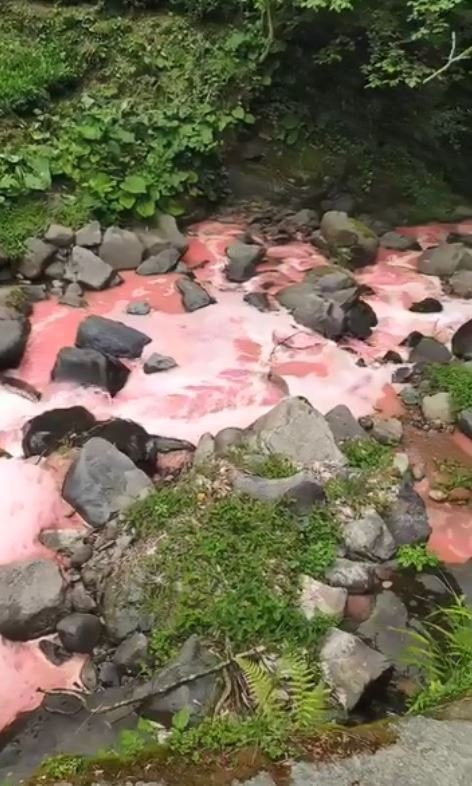 Rengi kırmızıya dönen derede inceleme! Bölge halkı endişelendi