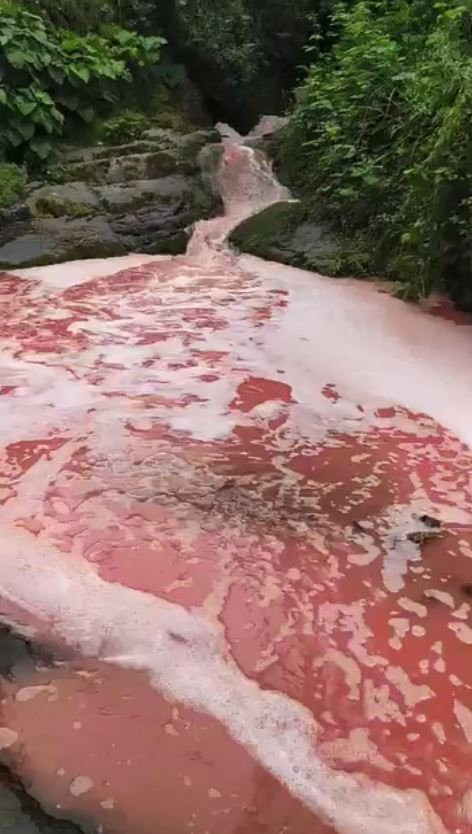 Rengi kırmızıya dönen derede inceleme! Bölge halkı endişelendi