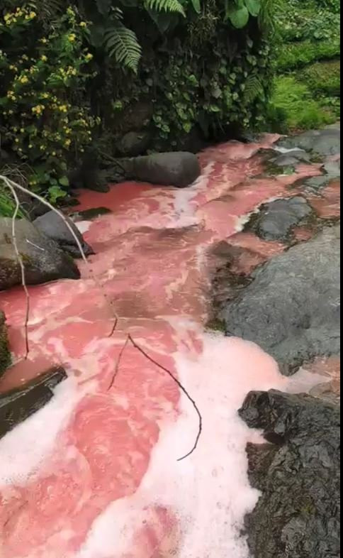 Rengi kırmızıya dönen derede inceleme! Bölge halkı endişelendi