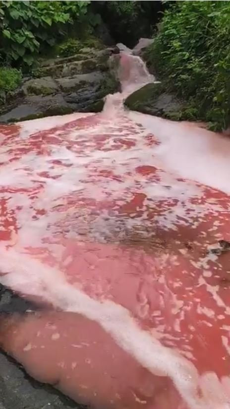 Rengi kırmızıya dönen derede inceleme! Bölge halkı endişelendi