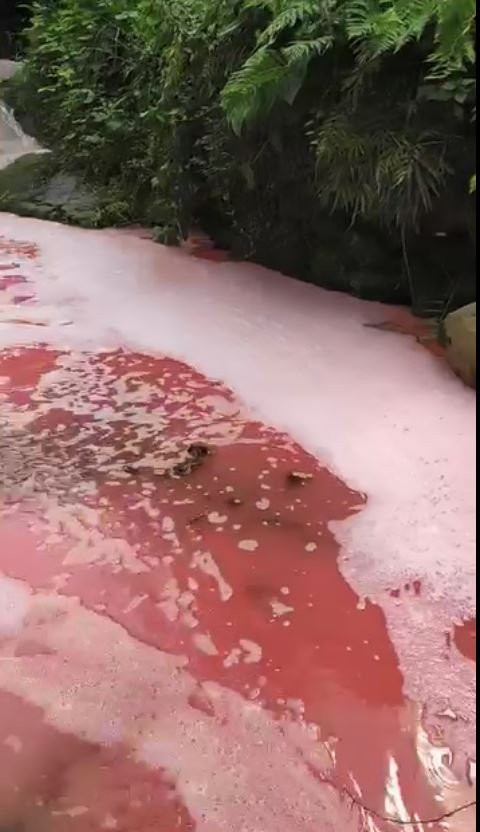 Rengi kırmızıya dönen derede inceleme! Bölge halkı endişelendi