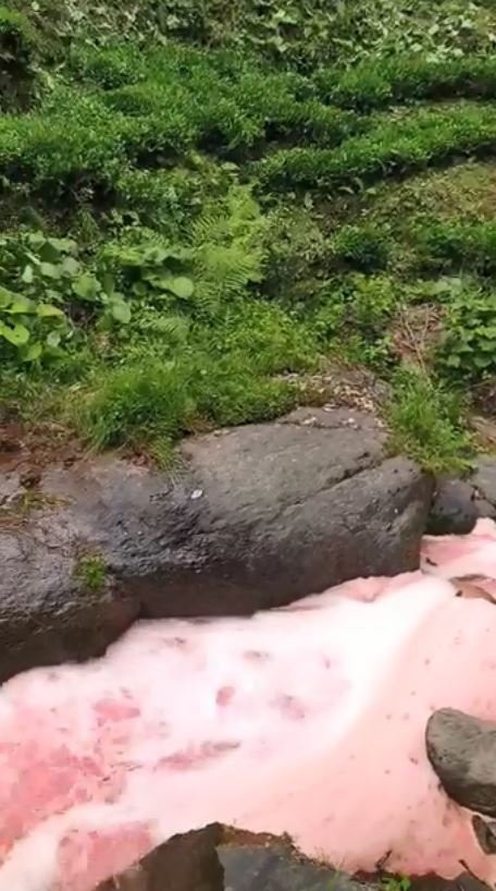 Rengi kırmızıya dönen derede inceleme! Bölge halkı endişelendi